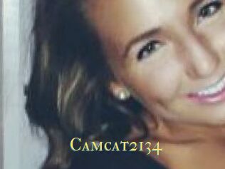 Camcat2134