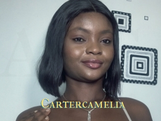 cartercamelia Annonce 2 coquine