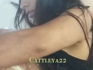Cattleya22