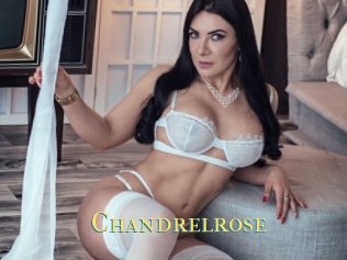 Chandrelrose