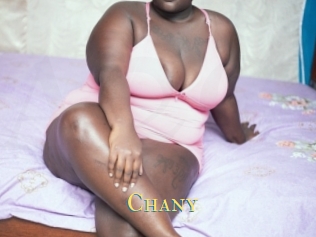Chany