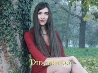Didgeridoo