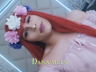 Dana_mein