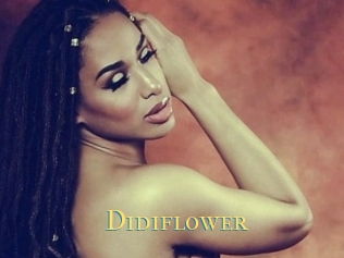 Didiflower