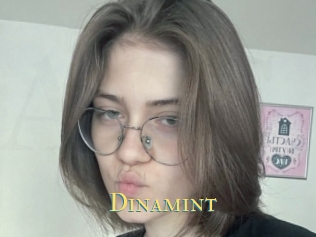 Dinamint