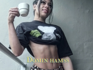 Domin_hamss