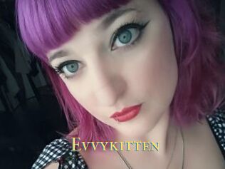 Evvykitten
