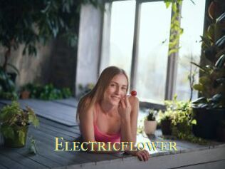 Electricflower