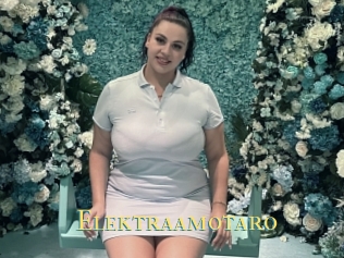 Elektraamotaro