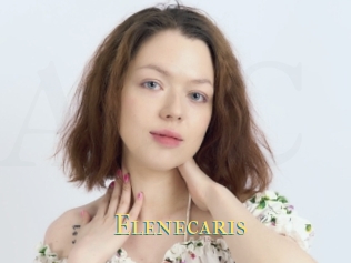 Elenecaris