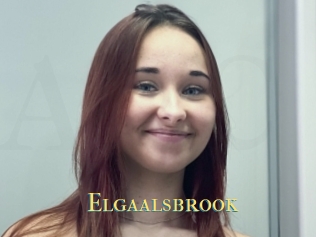 Elgaalsbrook