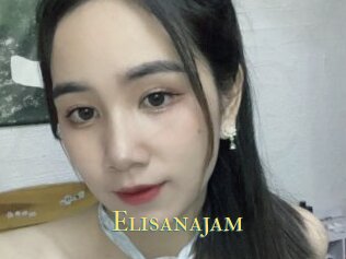 Elisanajam