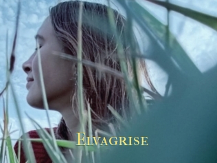 Elvagrise