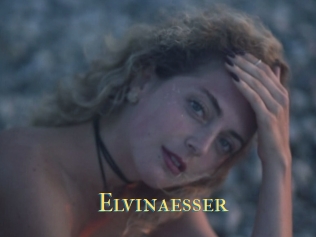 Elvinaesser