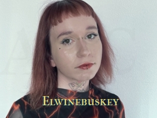 Elwinebuskey