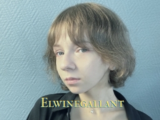 Elwinegallant