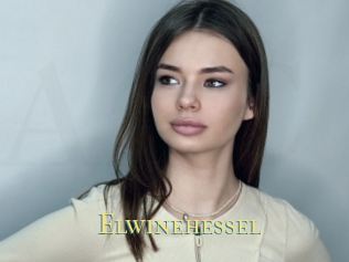 Elwinehessel