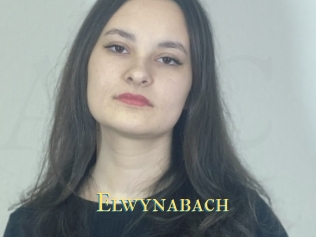 Elwynabach