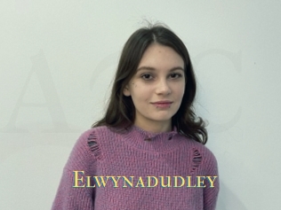 Elwynadudley