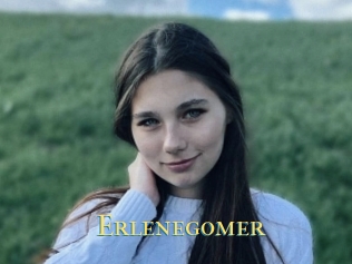Erlenegomer