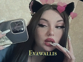 Evawallis