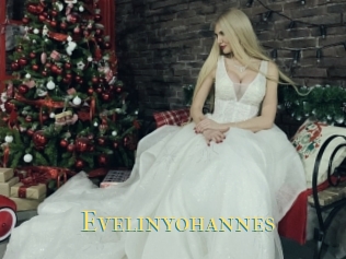 Evelinyohannes