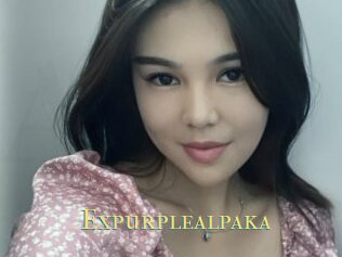 Expurplealpaka