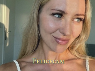 Felicecam