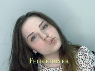 Felicedryer