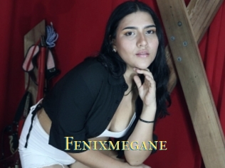 Fenixmegane