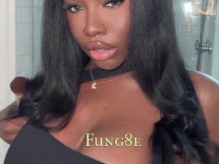 Fung8e