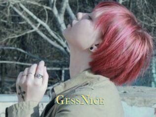 GessNice