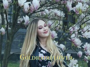 Goldhairflower