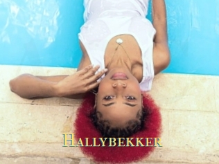 Hallybekker