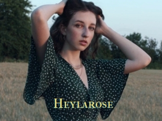 Heylarose