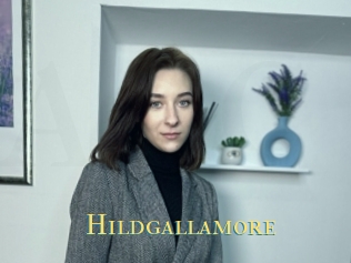 Hildgallamore