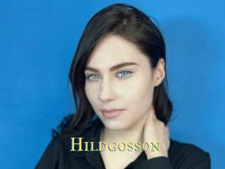 Hildgosson
