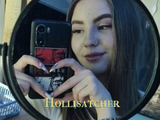 Hollisatcher
