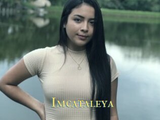 Imcataleya