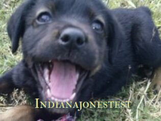 Indianajonestest
