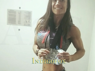 Indigofox