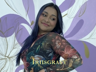 Iriisgrayy