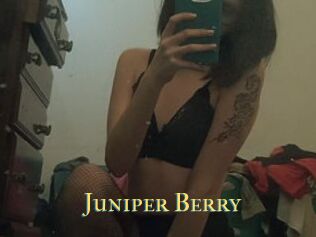 Juniper_Berry
