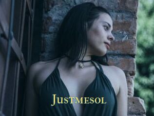 Justmesol