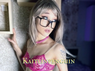 Kaitlinpenguin