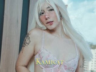 Kamicat