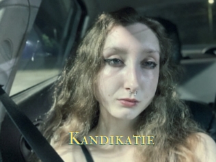 Kandikatie