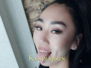 Karinajoun
