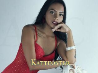 Kattfoster