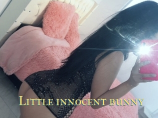 Little_innocent_bunny